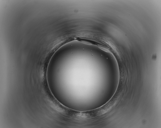 X0000094340261200711091436