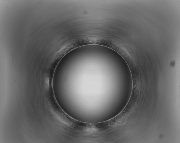 X0000094340262200711091436