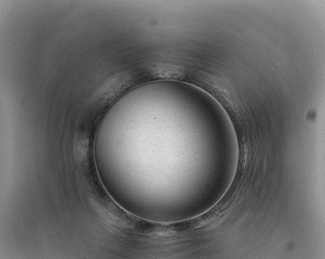 X0000094340263200711091436
