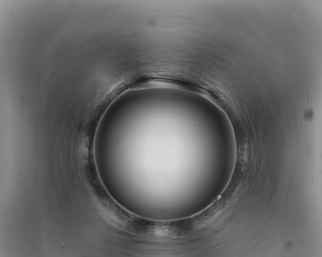 X0000094340264200711091436