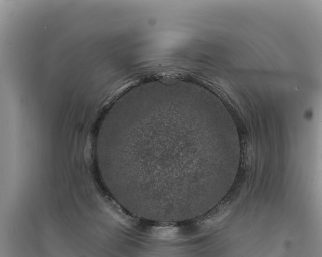 X0000094340266200711091436
