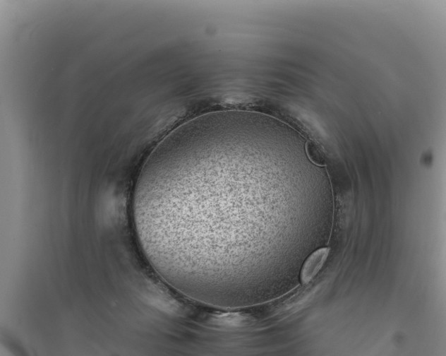 X0000094340269200711091436