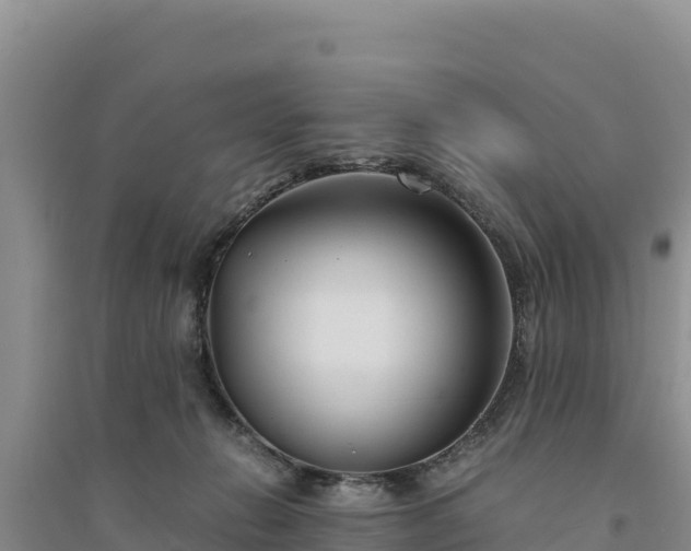 X0000094340270200711091436