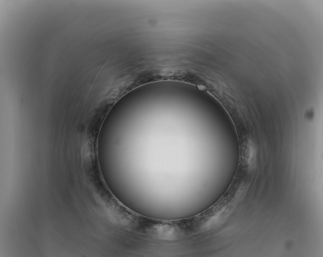 X0000094340272200711091436