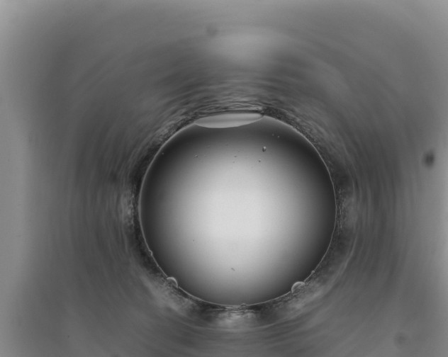 X0000094340274200711091436