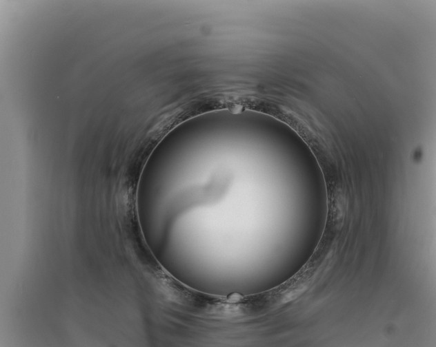 X0000094340276200711091436