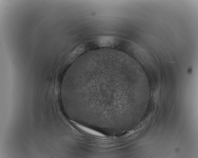 X0000094340277200711091436