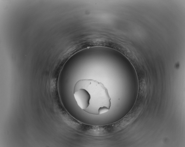 X0000094340278200711091436
