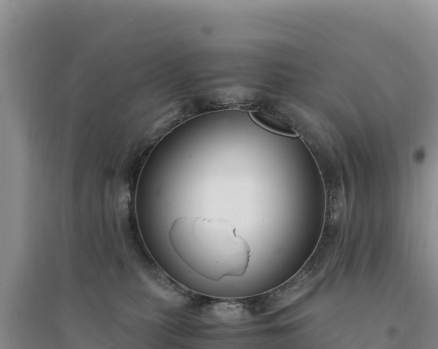 X0000094340279200711091436