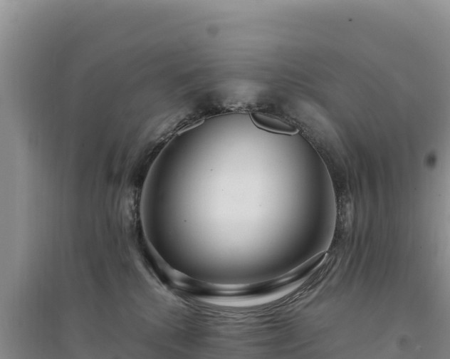 X0000094340280200711091436