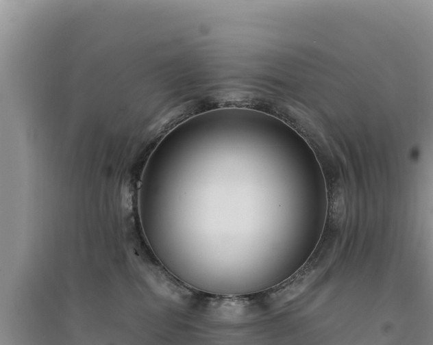 X0000094340282200711091436