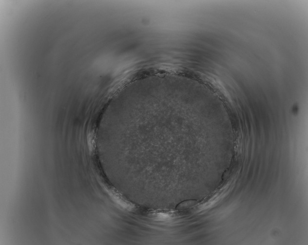 X0000094340285200711091436