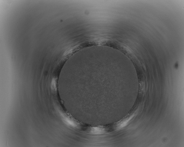X0000094340286200711091436