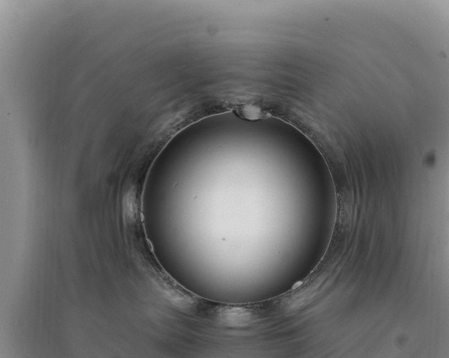 X0000094340287200711091436