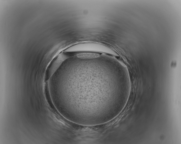 X0000094340290200711091435
