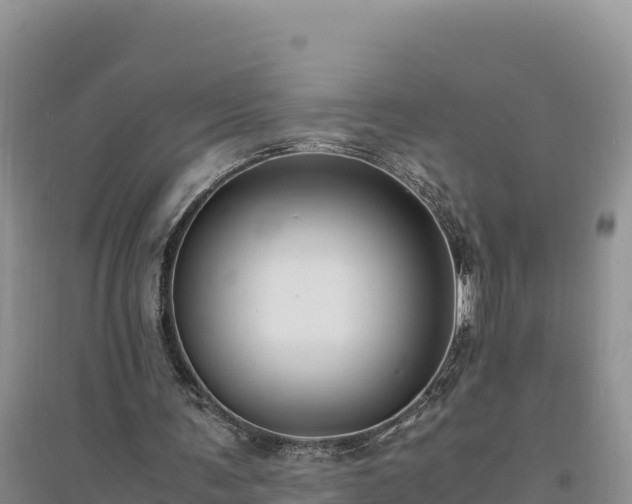 X0000094340291200711091435