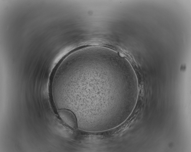 X0000094340292200711091435