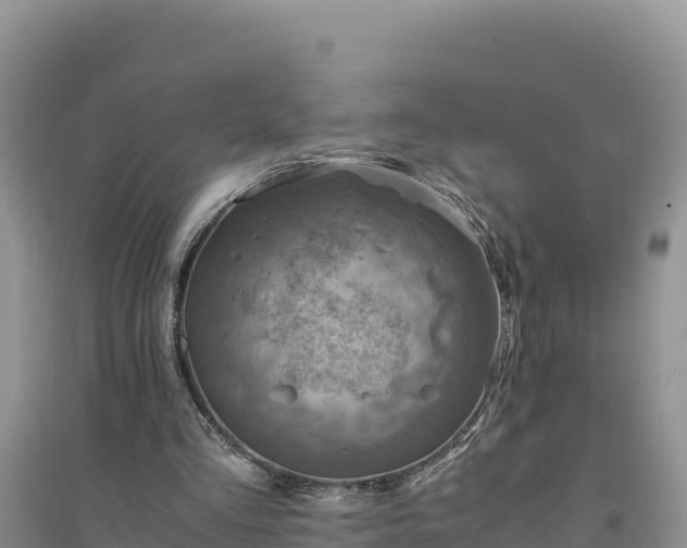 X0000094340293200711091435