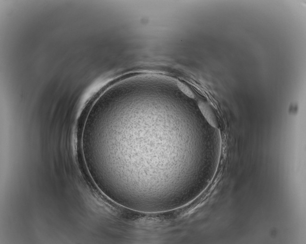X0000094340294200711091435