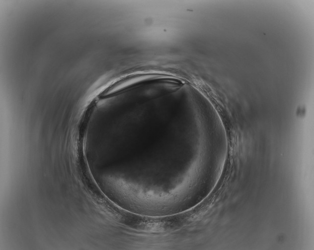 X0000094340295200711091435