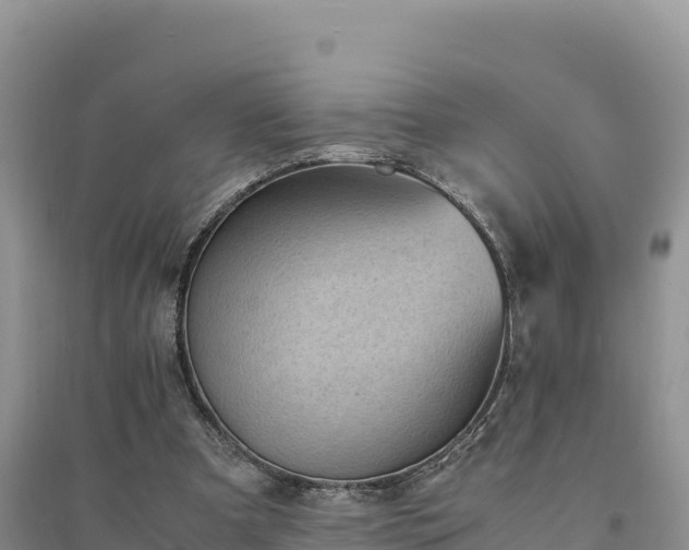X0000094340297200711091435