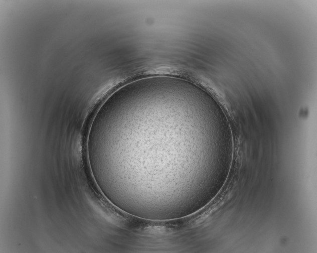 X0000094340298200711091435