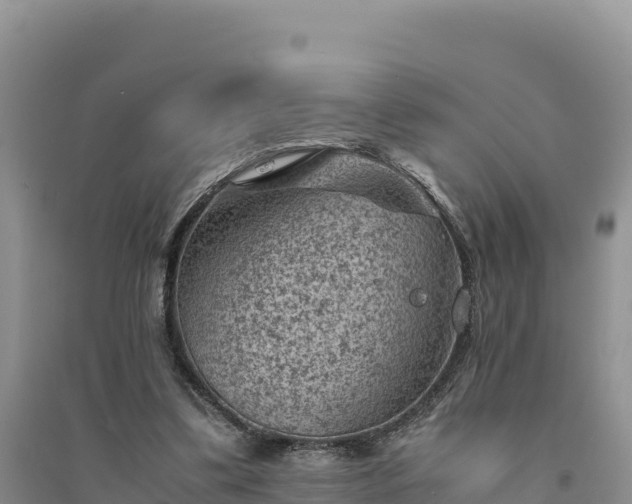 X0000094340299200711091435