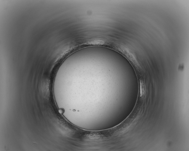 X0000094340300200711091435