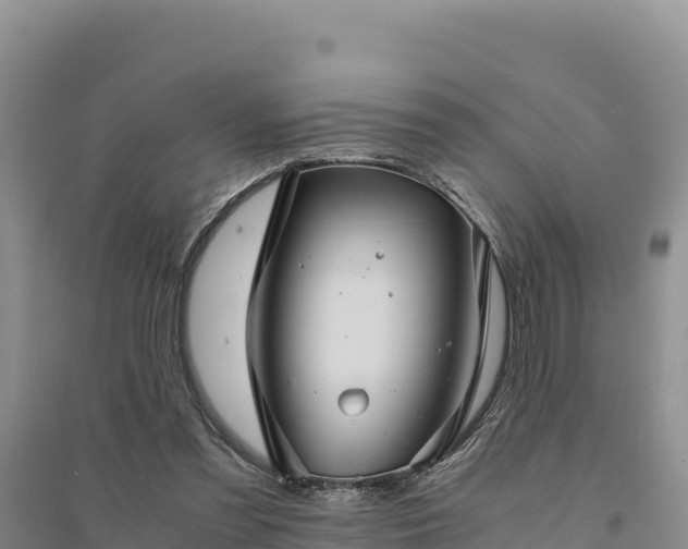 X0000094340301200711091435