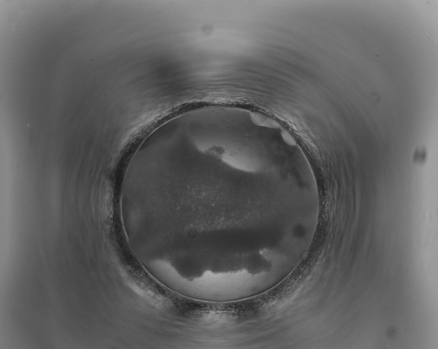 X0000094340303200711091435