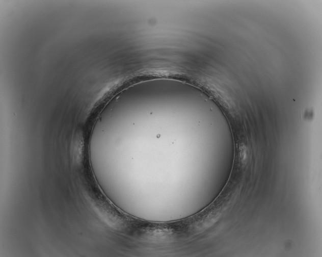 X0000094340304200711091435