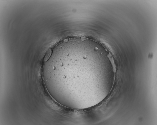 X0000094340305200711091435