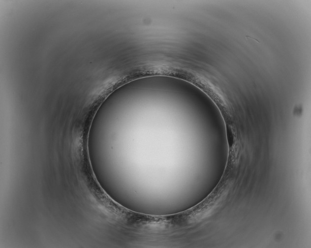 X0000094340306200711091435