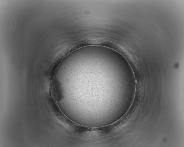 X0000094340307200711091435