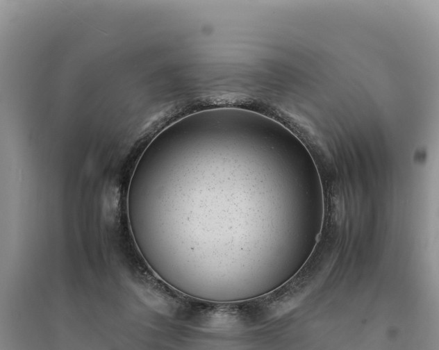 X0000094340308200711091435