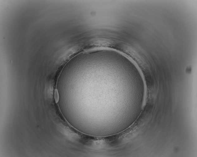 X0000094340309200711091435