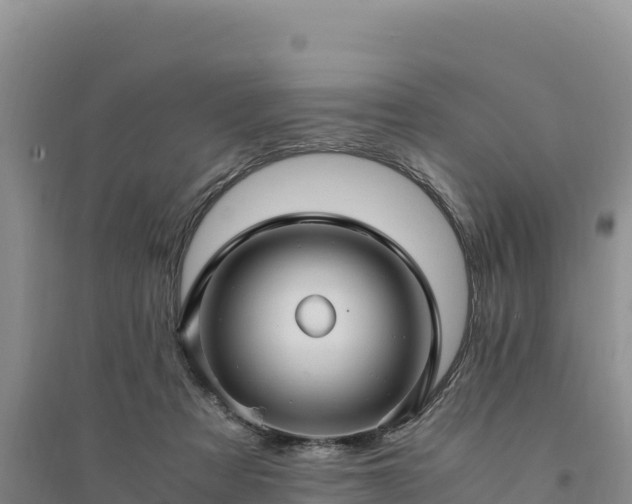X0000094340313200711091435