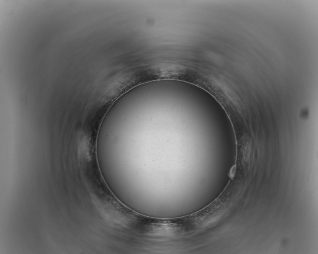 X0000094340316200711091435