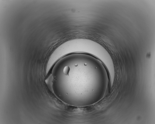 X0000094340320200711091435