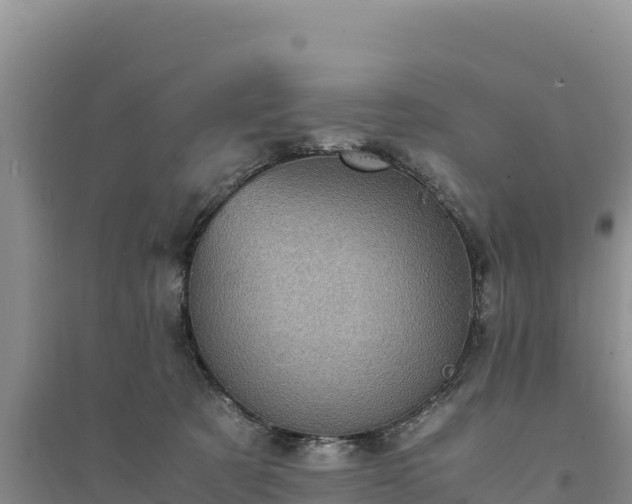 X0000094340321200711091435