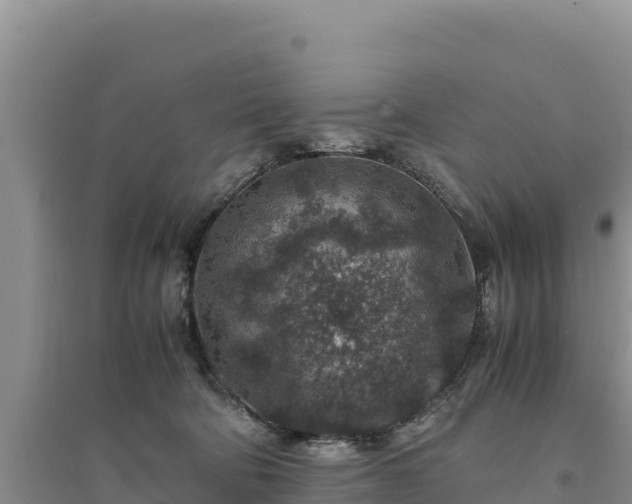 X0000094340322200711091435