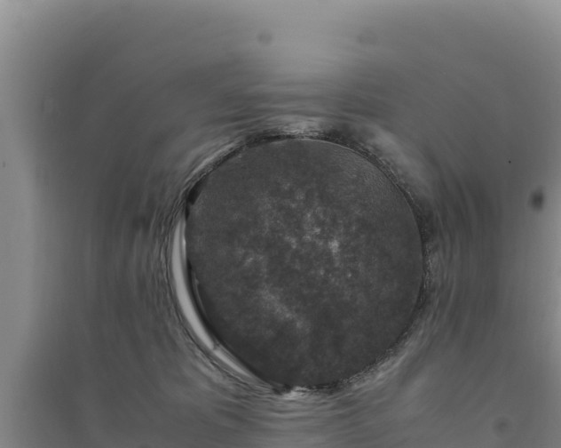 X0000094340325200711091435