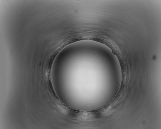 X0000094340329200711091435