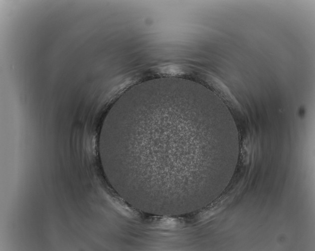 X0000094340330200711091435