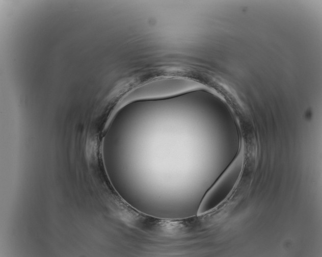 X0000094340333200711091435