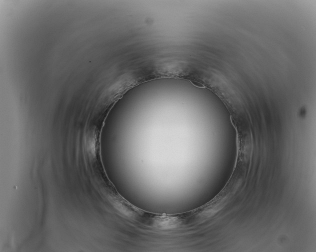 X0000094340334200711091435