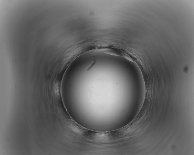 X0000094340335200711091435
