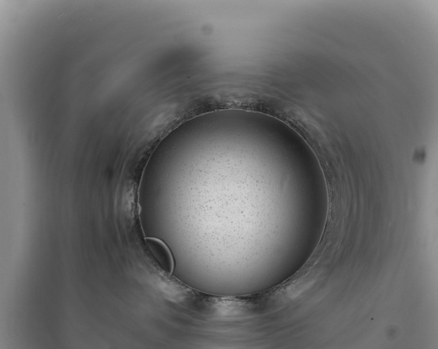 X0000094340336200711091435