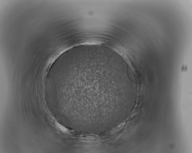 X0000094340337200711091434