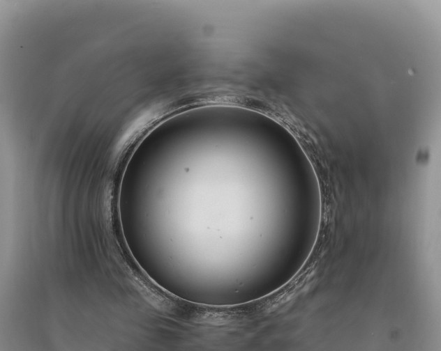 X0000094340341200711091434